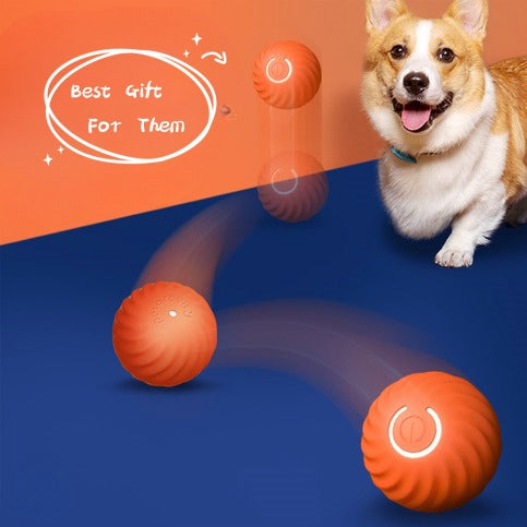 High-Bounce Rubber Ball Dog Toy – Fetch &amp; Play