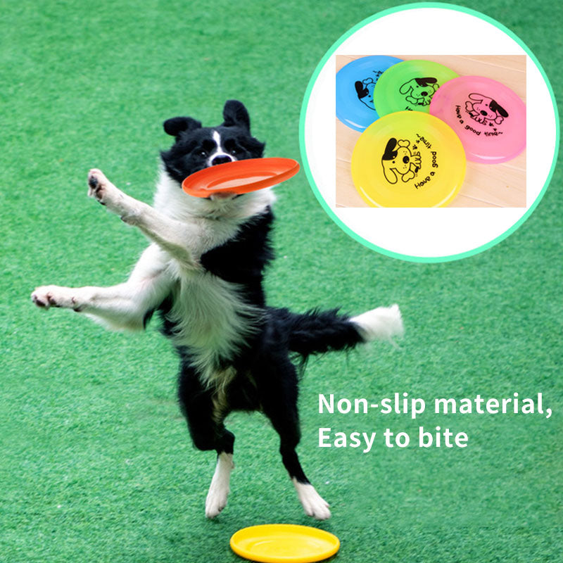 Interactive Dog Frisbee Disc Toy – Assorted Colours