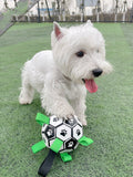 Paw Print Foam Football Dog Toy – 5 Styles