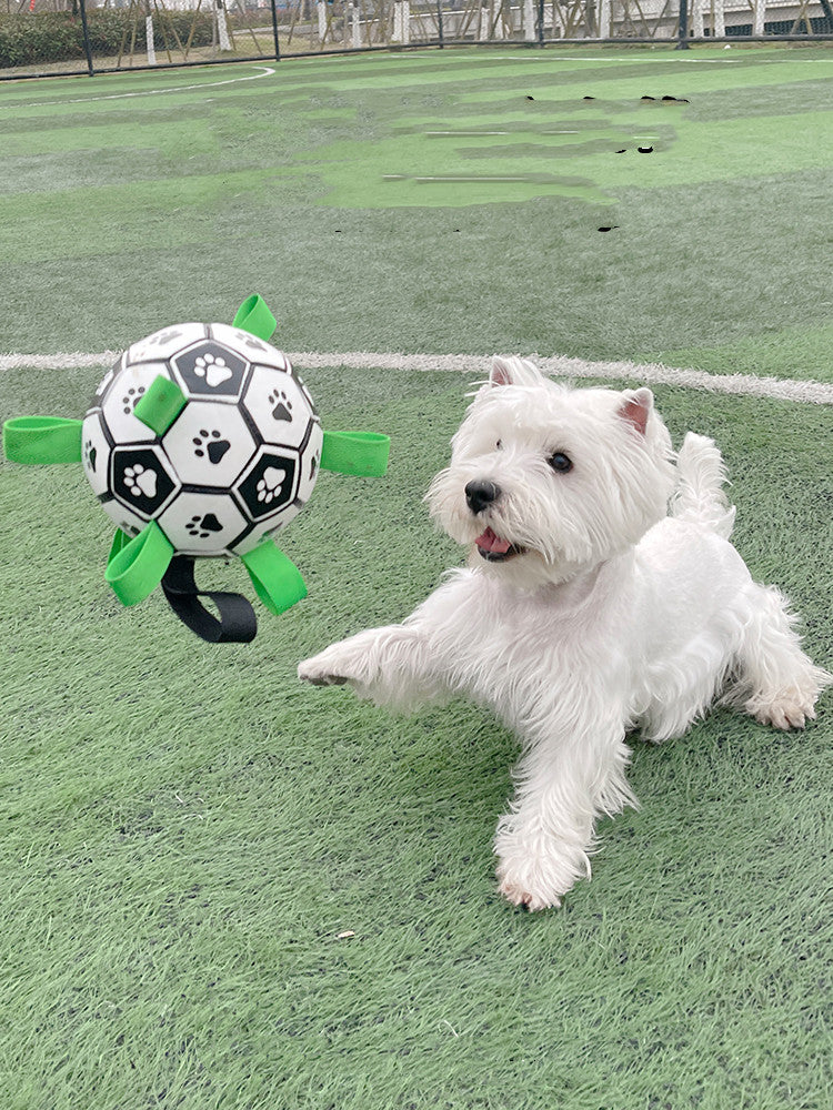 Paw Print Foam Football Dog Toy – 5 Styles
