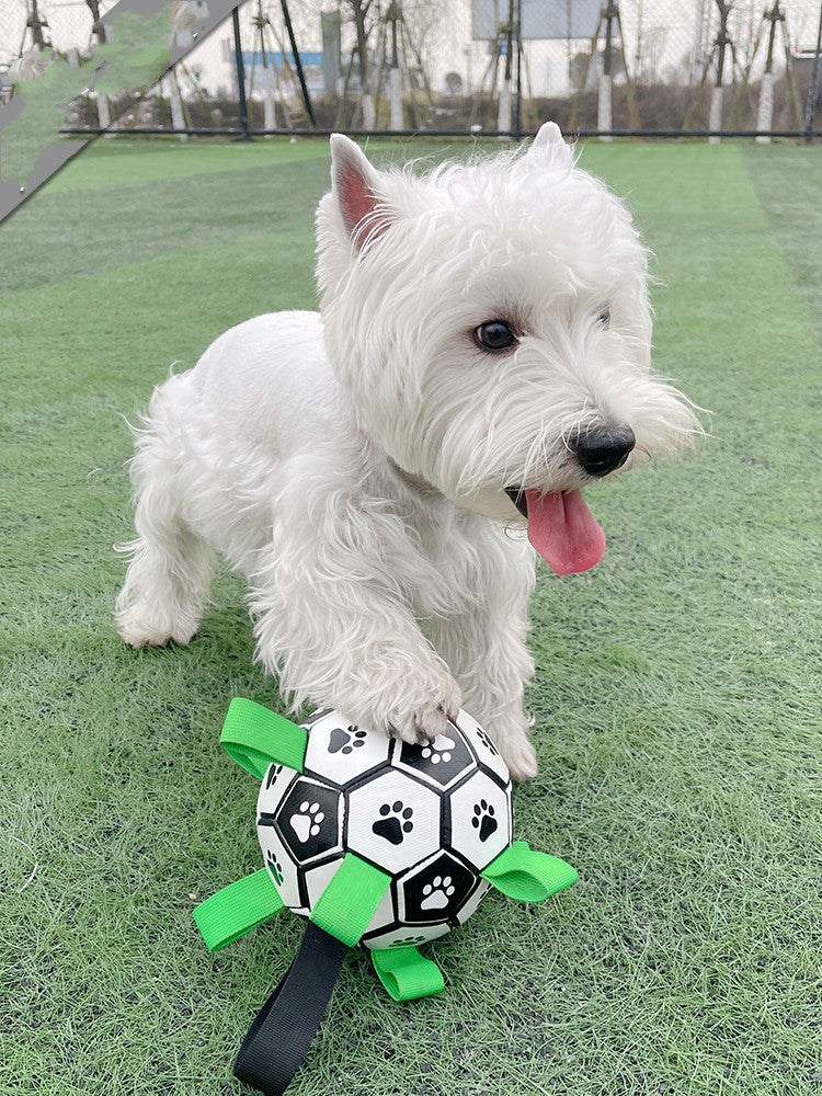 Paw Print Foam Football Dog Toy – 5 Styles