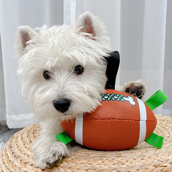 Paw Print Foam Football Dog Toy – 5 Styles