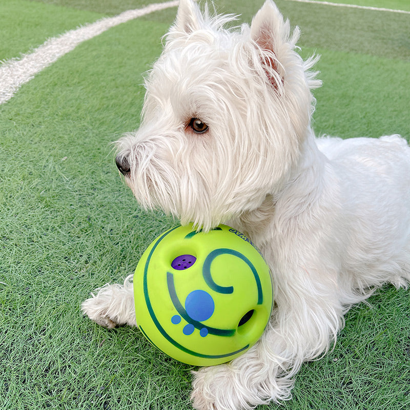 Paw Print Foam Football Dog Toy – 5 Styles