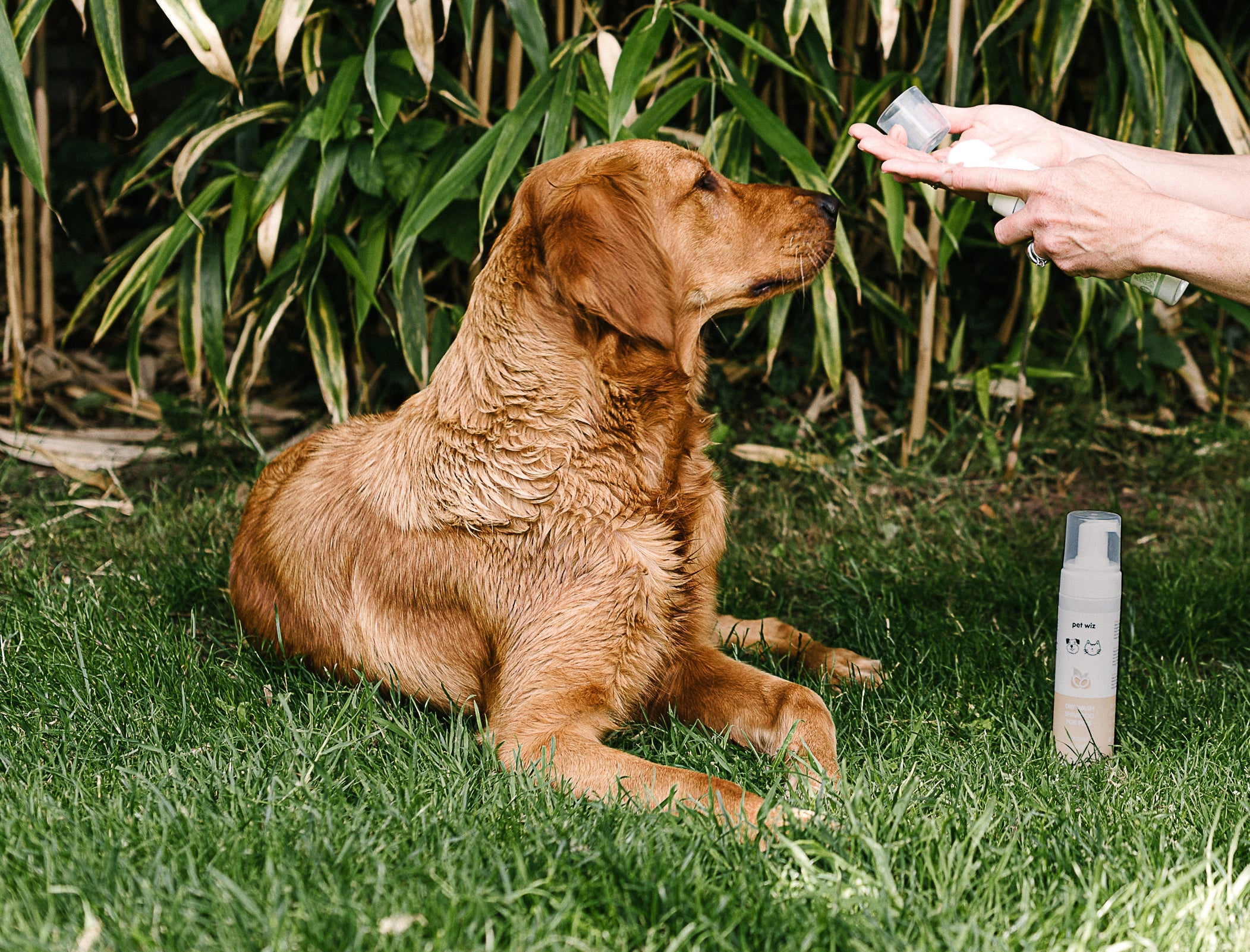 Waterless Foam Shampoo for Pets – Soothing & Deodorising