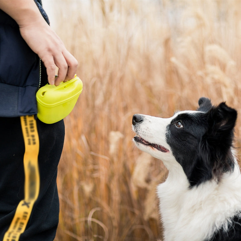 Dog Training Treat Pouch – Waist Bag with Belt Clip