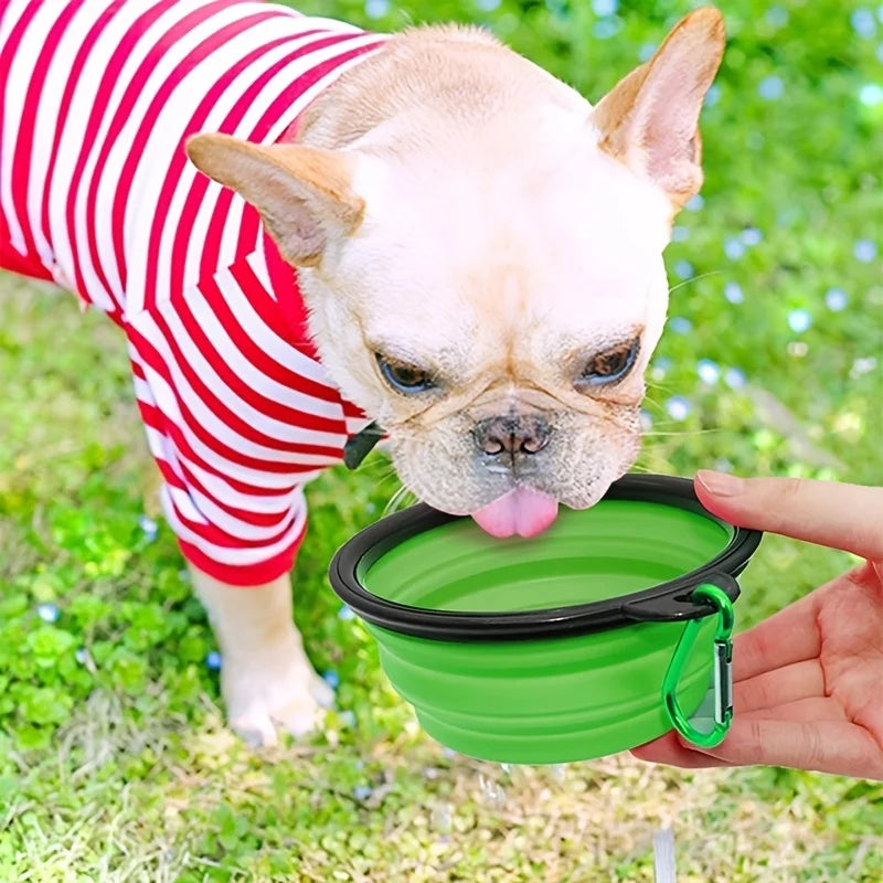 Collapsible Silicone Travel Pet Bowl – 350ml