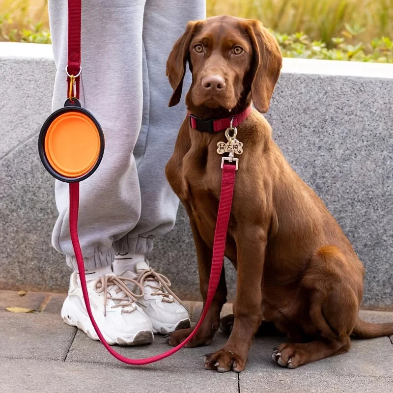 Collapsible Silicone Travel Pet Bowl – 350ml