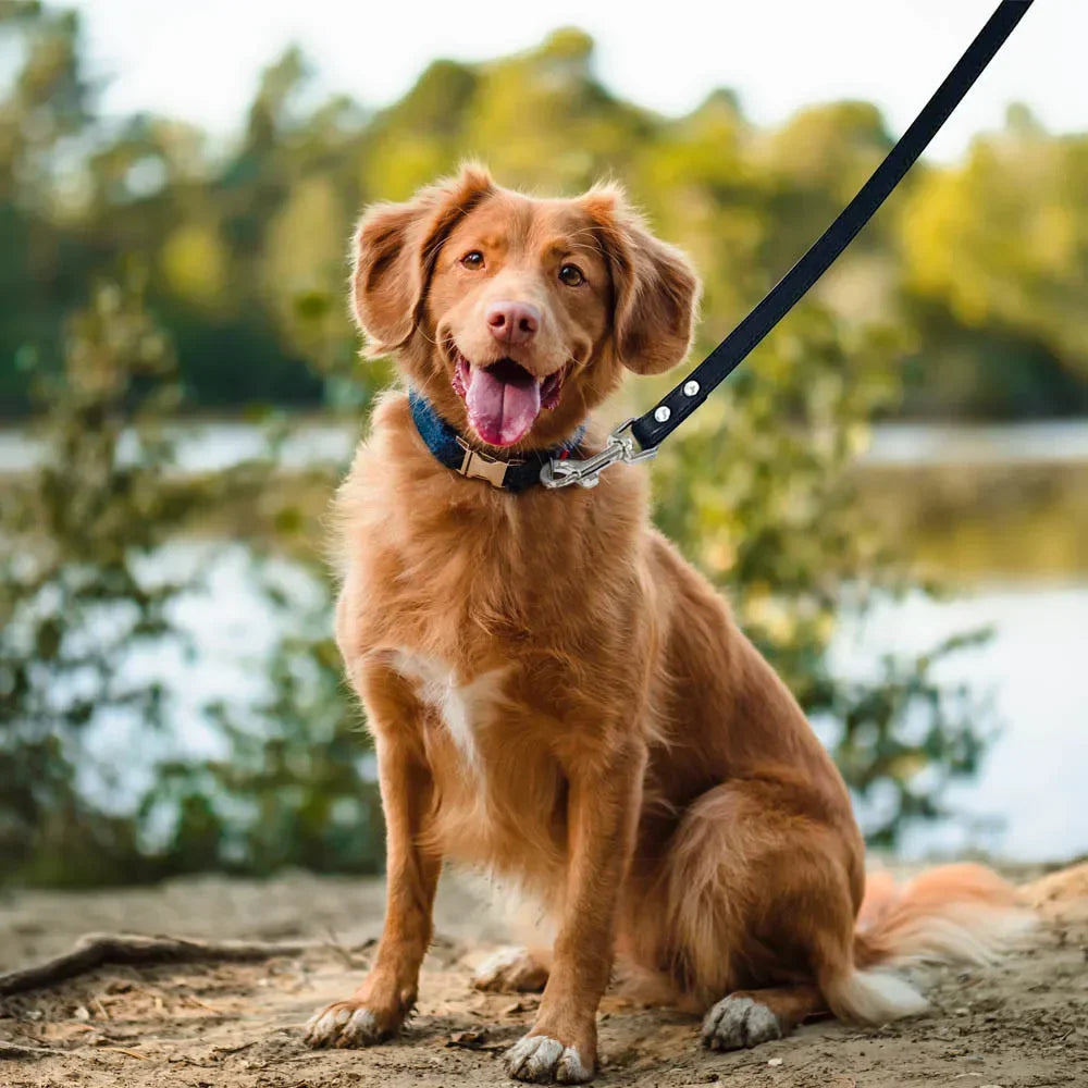 Colourful Dog Lead – 1.2m Leather-Style (16 Colours)