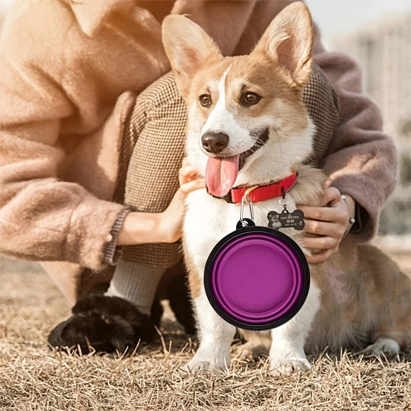 Collapsible Silicone Travel Pet Bowl – 350ml
