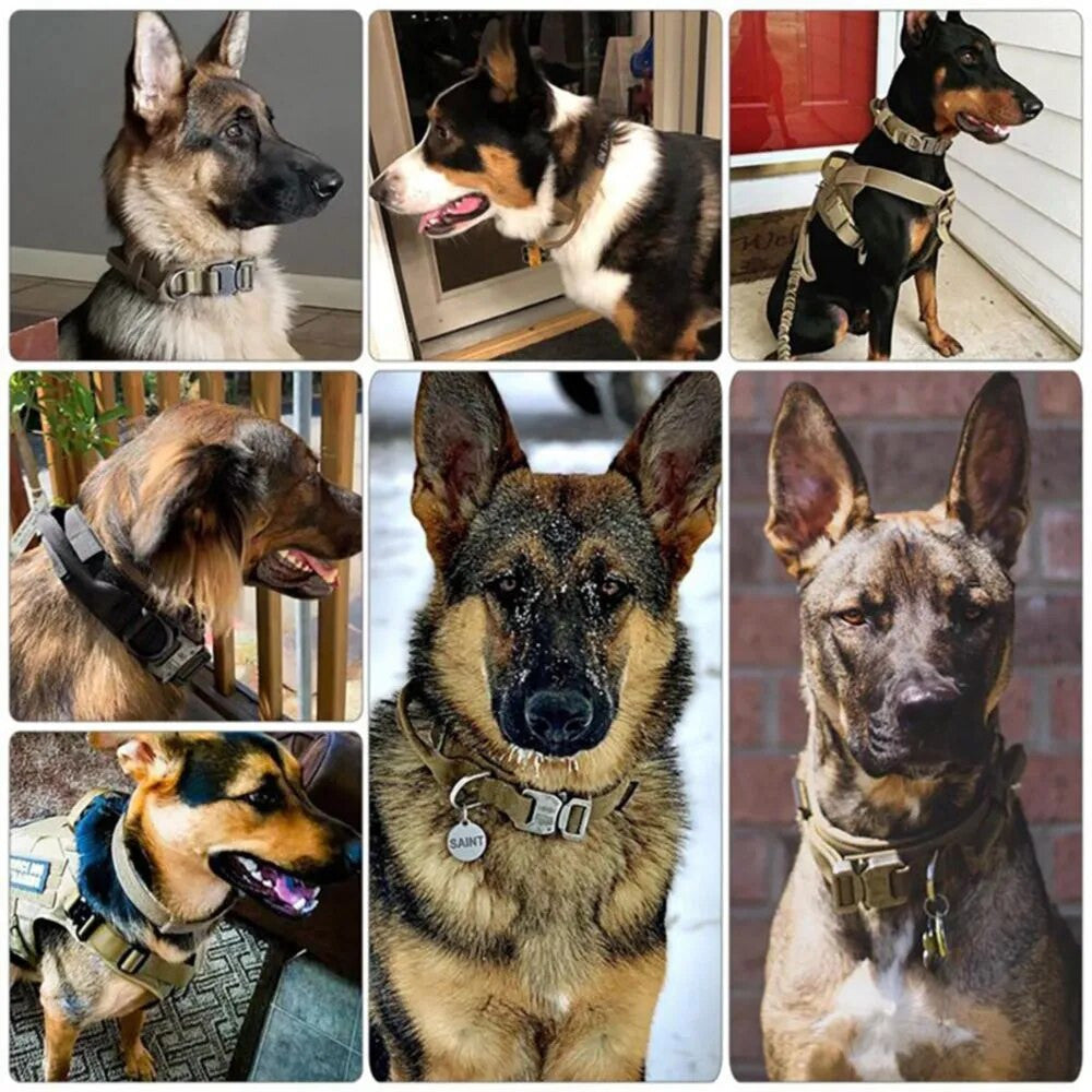 Tactical Dog Collar – Heavy Duty Nylon with Control Handle